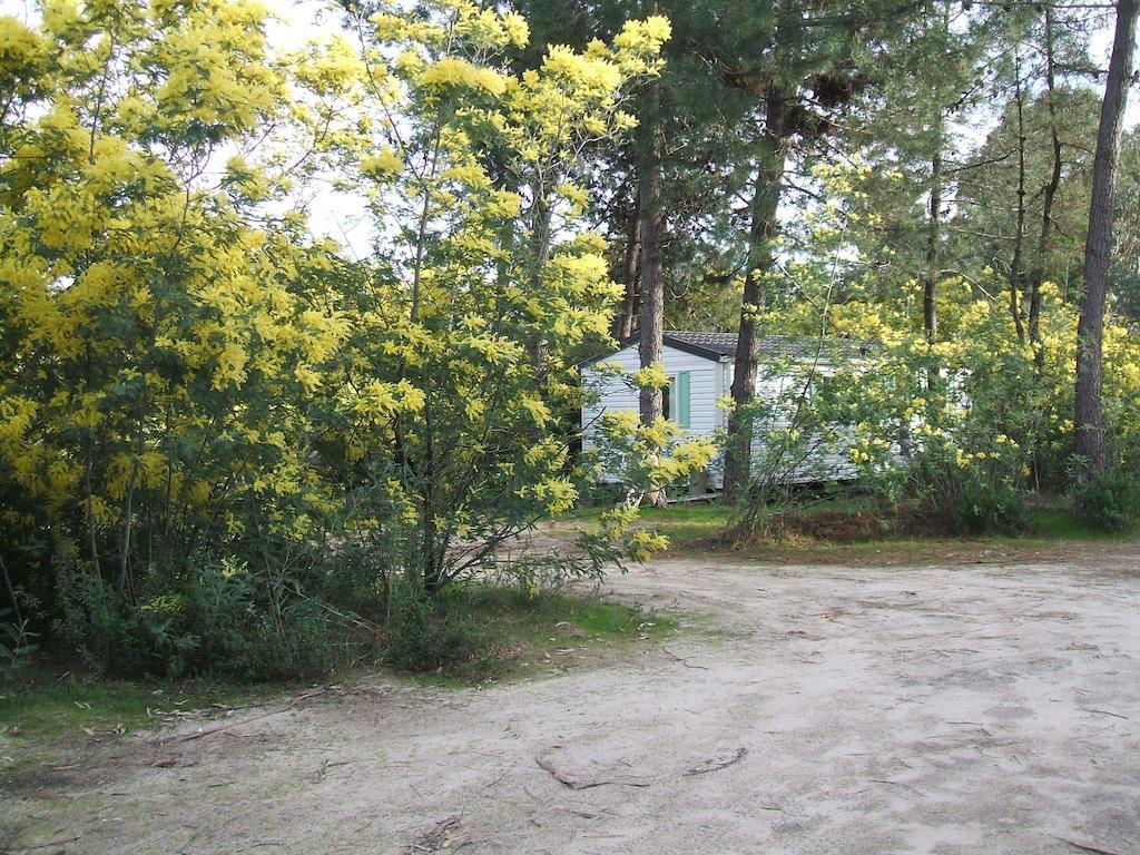 Résidence Santa Ghisonaccia Exterior foto